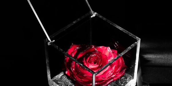 Idee regalo San Valentino 2023, tra novità ed evergreen